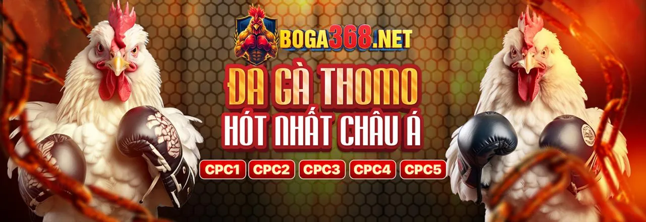 Hình ảnh minh họa cờ bạc có trách nhiệm của vnsoxo nhà cái với màu xanh lá và vàng